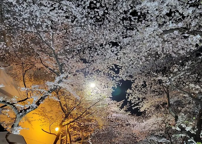 동아대병원#부산역#남포동 Syjm Dong-a